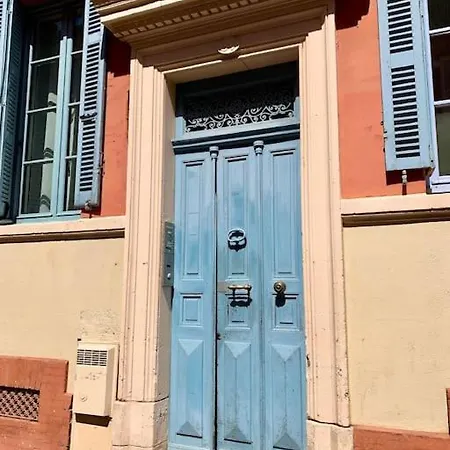 Studio Cosy Jardin Des Plantes Toulouse Exterior foto